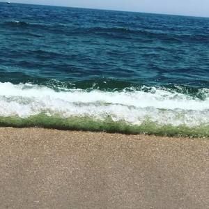 Meet your Posher, Robin